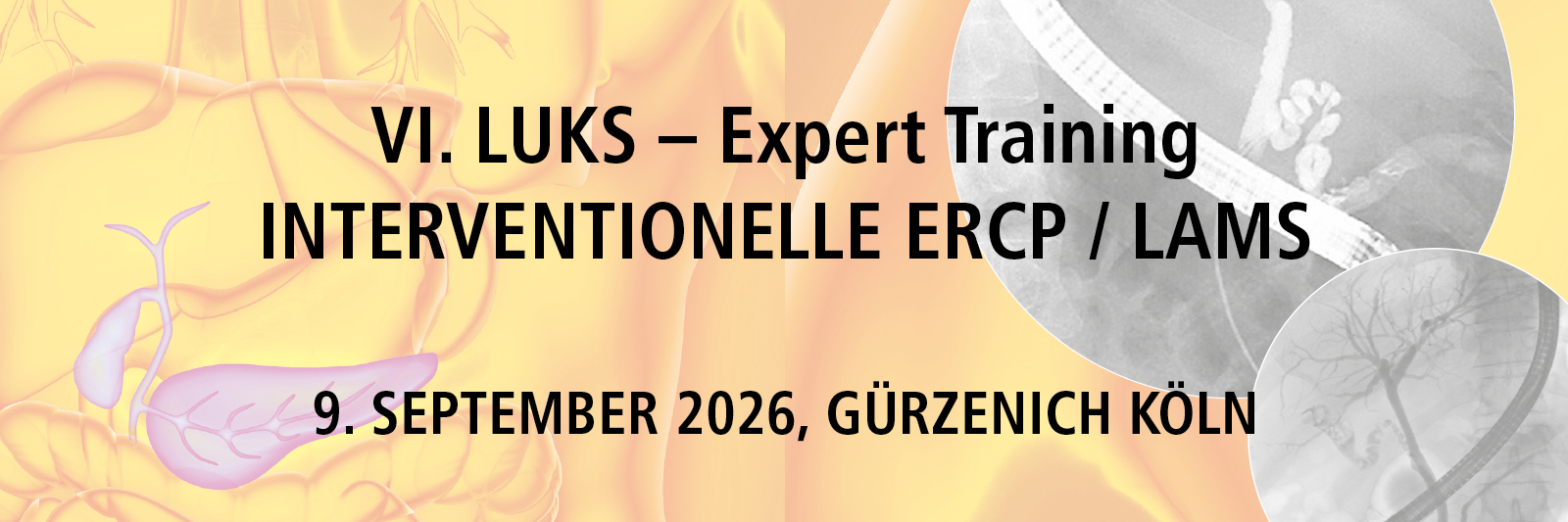 VI. LUKS – Expert Training INTERVENTIONELLE ERCP / LAMS, 9. September 2026, Gürzenich Köln | ©COCS GmbH